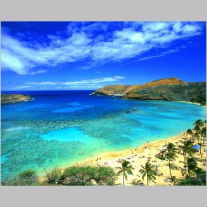 great-beach-hawaii-picture.jpg